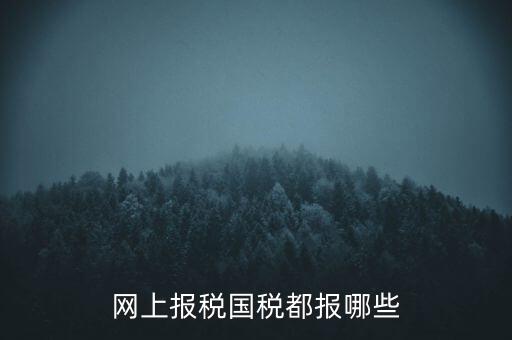 國稅云辦稅廳都報什么，你好我是新手我想問一下前輩國稅每月季年都報什么報表