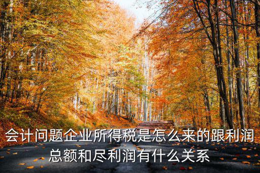 企業(yè)所得稅和什么有關(guān)，增值稅和企業(yè)所得稅有關(guān)系么