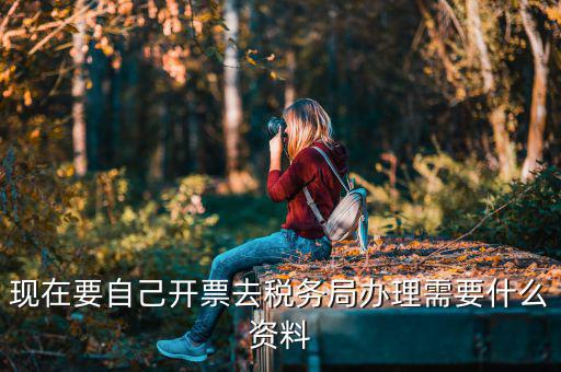 自己開專票要什么資料，開個人增值稅發(fā)票需要什么資料