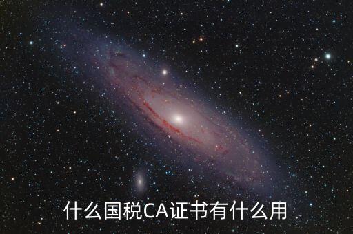 國稅ca登錄是什么，什么國稅CA證書有什么用