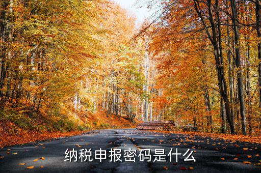怎樣查地稅密碼是什么，稅務(wù)數(shù)字證書密碼忘記或鎖定如何解決