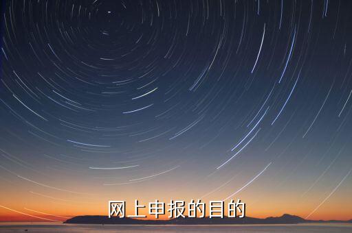 電子化辦稅什么意思，網(wǎng)上申報(bào)的目的