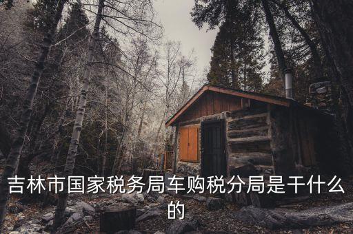 車(chē)購(gòu)稅局主要干什么，新車(chē)去地稅局干什么