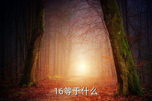 什么深圳1 6政策指，16等于什么