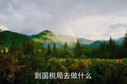國稅局什么工作，國稅是做什么工作的