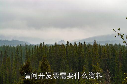 請(qǐng)問開發(fā)票需要什么資料