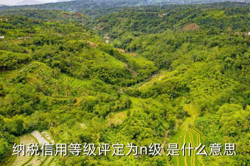 納稅信用等級b級是什么意思，納稅信用等級評定為n級 是什么意思