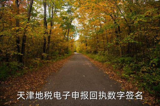 天津地稅自查表是什么，天津地稅電子申報回執(zhí)數(shù)字簽名