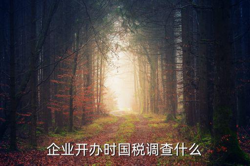 國稅稅收調(diào)查調(diào)查什么，國稅三稅調(diào)查是指哪三稅