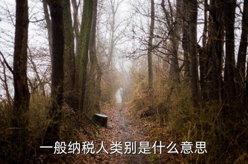 納稅人類別填什么，一般納稅人類別是什么意思