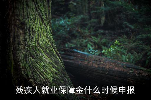 殘疾人保障金什么時(shí)候，殘疾人就業(yè)保障金怎么交什么時(shí)侯交會(huì)計(jì)分錄