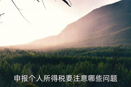 個(gè)體核稅要注意什么，個(gè)體戶(hù)營(yíng)業(yè)執(zhí)照及稅務(wù)辦理時(shí)的注意事項(xiàng)