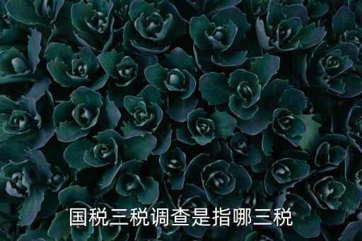 全國稅收調(diào)查是什么，全國稅收調(diào)查表中審核公式IFXXBB8 1 XXBB8 4
