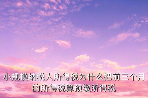 為什么會(huì)有預(yù)繳所得稅，我企業(yè)是今年1月被稅局核定按收入繳納企業(yè)所得稅 為什么第一季度報(bào)
