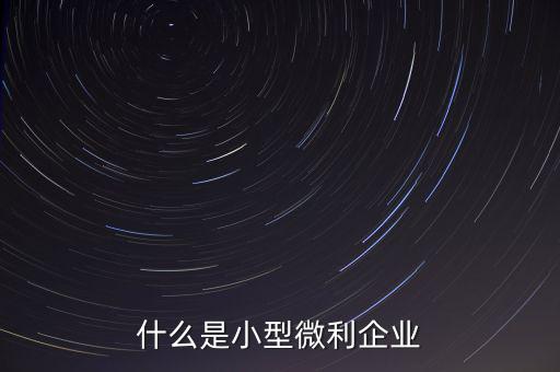 什么是小型微利，什么是小型微利企業(yè)收入從業(yè)人員其它條件