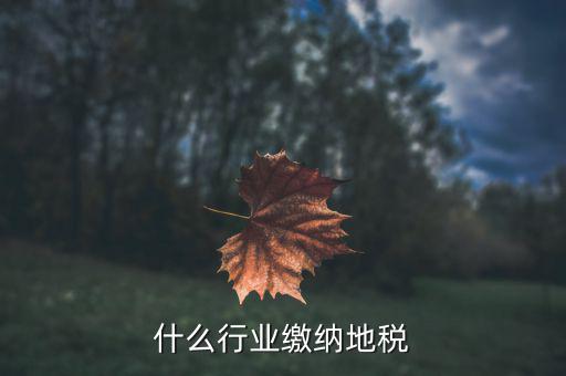 地稅局單位行業(yè)是什么，地稅局是管什么的