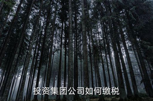 投資公司交什么稅2017，投資集團公司如何繳稅