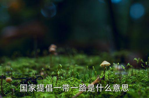 國(guó)稅一帶一路什么意思，一帶一路指什么意思