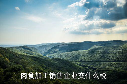 賣(mài)肉類(lèi)交什么地稅，批發(fā)肉類(lèi)的稅是多少