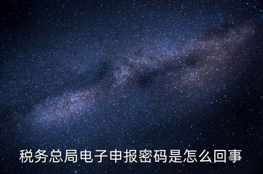 網(wǎng)上如何申報國稅密碼是什么原因，網(wǎng)上報稅 報稅密碼是什么