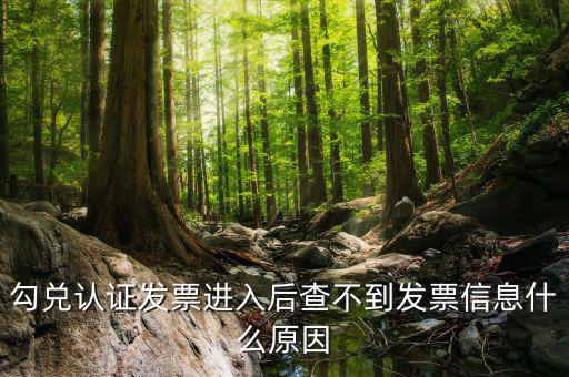 發(fā)票查詢?yōu)槭裁床椴坏叫畔?，發(fā)票開了稅務局上查不到信息是怎么回事