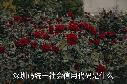 統(tǒng)一社會信用代碼指什么影響，深圳碼統(tǒng)一社會信用代碼是什么