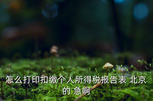北京打印個稅需要什么資料，怎么打印扣繳個人所得稅報告表 北京的 急啊