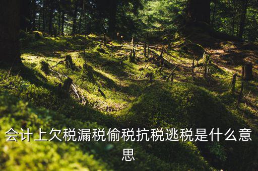 欠繳稅額是什么意思，增值稅申報表第26欄實收出口開具專用繳款書退稅額指的是什么