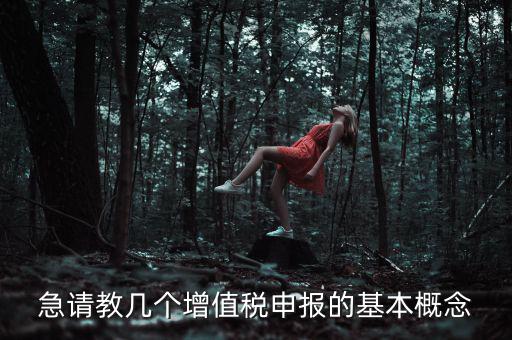 增值稅申報是什么意思，增值稅申報什么意思