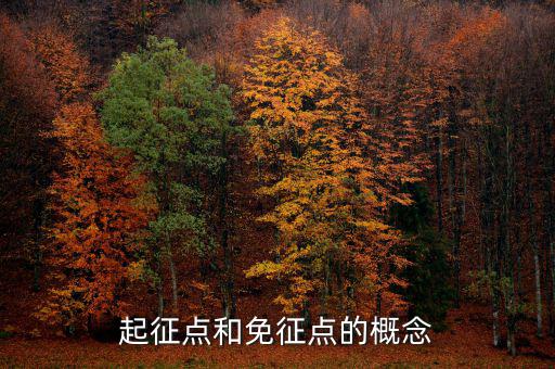 增值稅起征點什么意思，增值稅的起征點為5000元20000元是什么意思