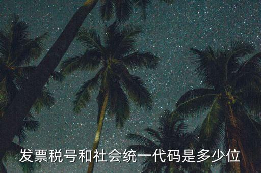 發(fā)票統(tǒng)一社會(huì)信用代碼是什么，現(xiàn)在開發(fā)票要的社會(huì)信用代碼是誰(shuí)的代碼