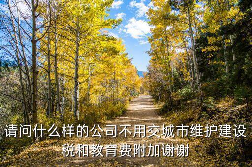 什么情況不交城建稅，什么時(shí)候不需要交納營(yíng)業(yè)稅城建稅及附加