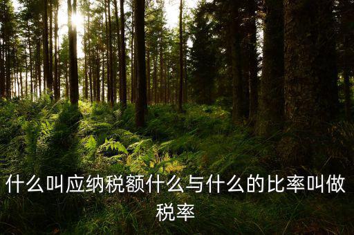 什么叫應(yīng)用稅額，各種收入等于應(yīng)用稅額除以什么