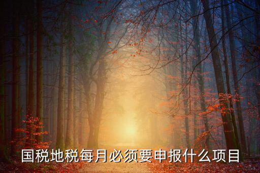 國(guó)稅月初申報(bào)什么，國(guó)稅地稅每月必須要申報(bào)什么項(xiàng)目