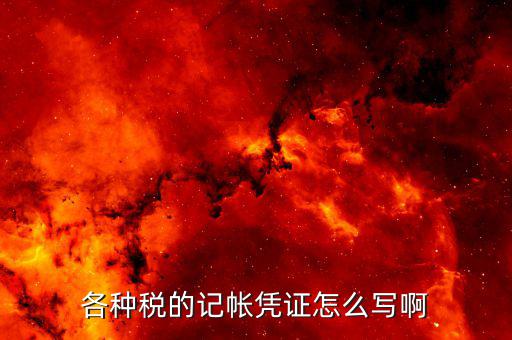 繳稅填什么憑證，應(yīng)交稅金的憑證填寫借貸方分別是