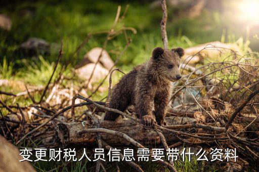 變更辦稅人員要帶什么，如何變更辦稅員