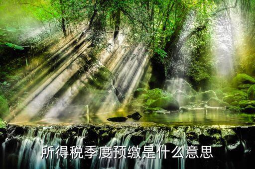 預(yù)繳所得稅是什么意思，新辦企業(yè)預(yù)繳所得稅是什么意思