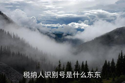 客戶納稅識(shí)別號(hào)是什么意思，稅納人識(shí)別號(hào)是什么東東