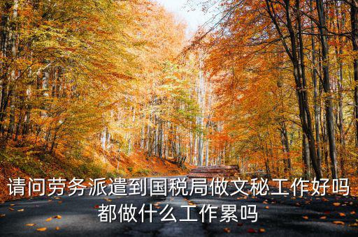 國(guó)稅局文秘主要寫(xiě)什么，公務(wù)員國(guó)稅局基層局科員和辦公室文秘哪個(gè)好