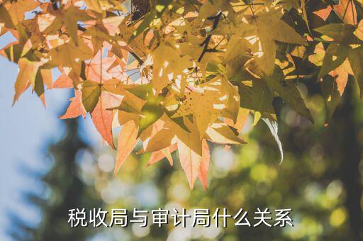 審計單位和稅務(wù)局有什么區(qū)別，審計同稅審有什么分別