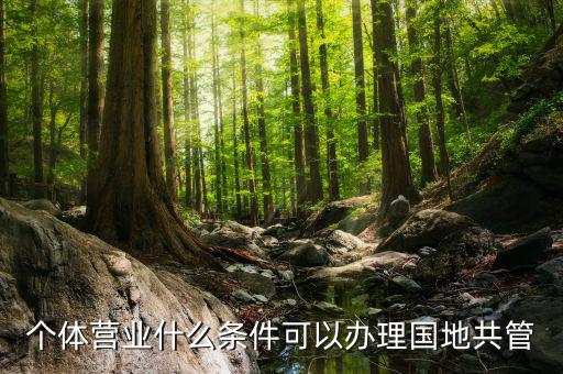 國(guó)地管戶類型是什么，國(guó)稅地稅共管戶