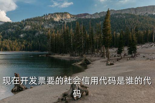 發(fā)票上有社會(huì)信用代碼是什么，現(xiàn)在開發(fā)票要的社會(huì)信用代碼是誰(shuí)的代碼