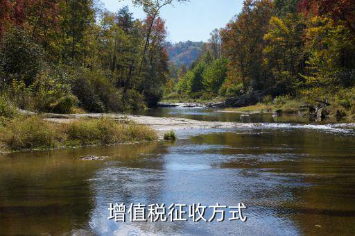 增值稅征稅方式選什么，增值稅的計(jì)稅方式