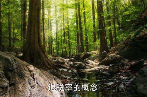 出口退稅率是什么意思，出口退稅率是什么意思啊什么樣的人要交呢