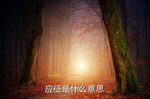 應征發(fā)生日期什么意思，應征的意思