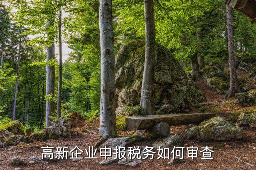 高企稅務(wù)審查查什么用，稅務(wù)檢查簽證有什么作用
