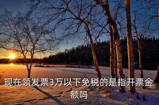 3萬免稅免的是什么稅，小規(guī)模納稅人月收入3萬元以下免哪些稅
