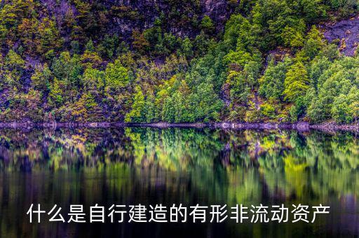 什么叫自建不動(dòng)產(chǎn)，自建不動(dòng)產(chǎn)不共擔(dān)風(fēng)險(xiǎn)的投資行為