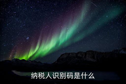 稅務(wù)人識(shí)別號(hào)是什么意思，稅納人識(shí)別號(hào)是什么東東