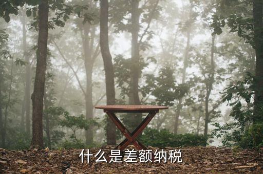 什么是開票差額，火車票差額票款是什么